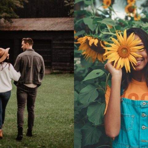 feng shui que plantas atraen amor