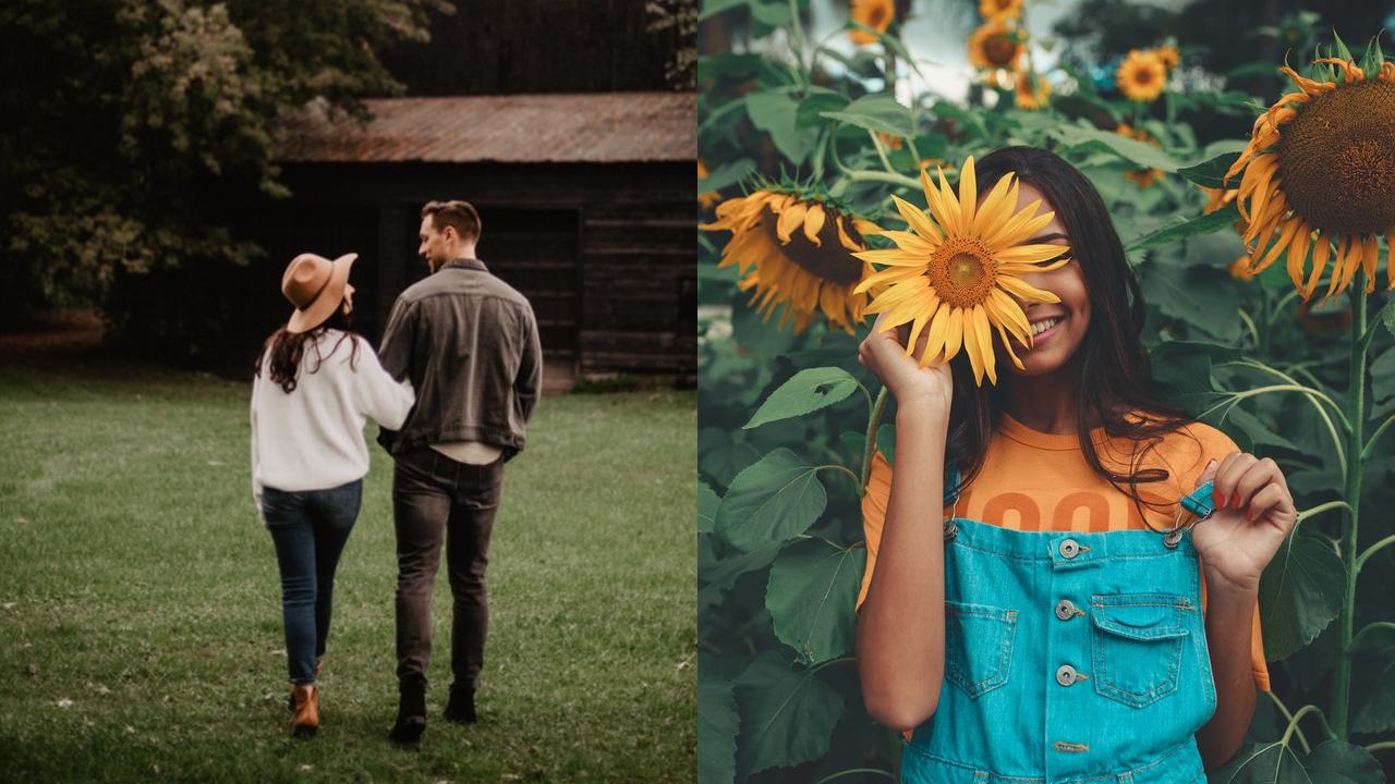 feng shui que plantas atraen amor