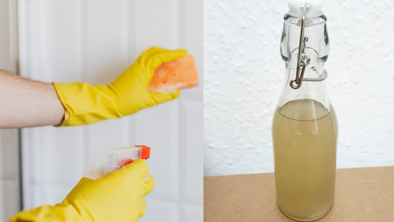 por que debes usar guantes cuando limpies con vinagre