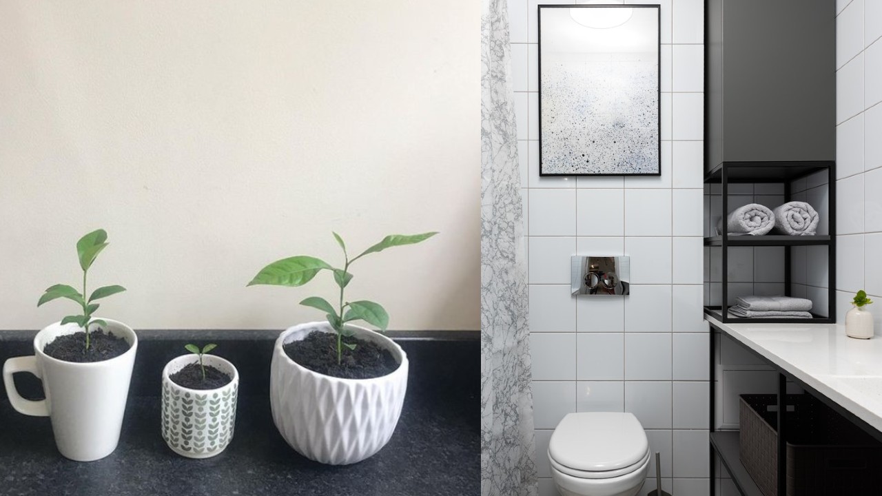 Limon en taza elimina mal olo