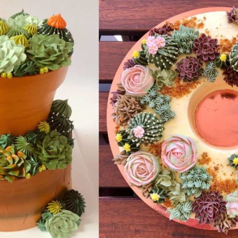 pasteles de suculentas para las señoras de las plantas