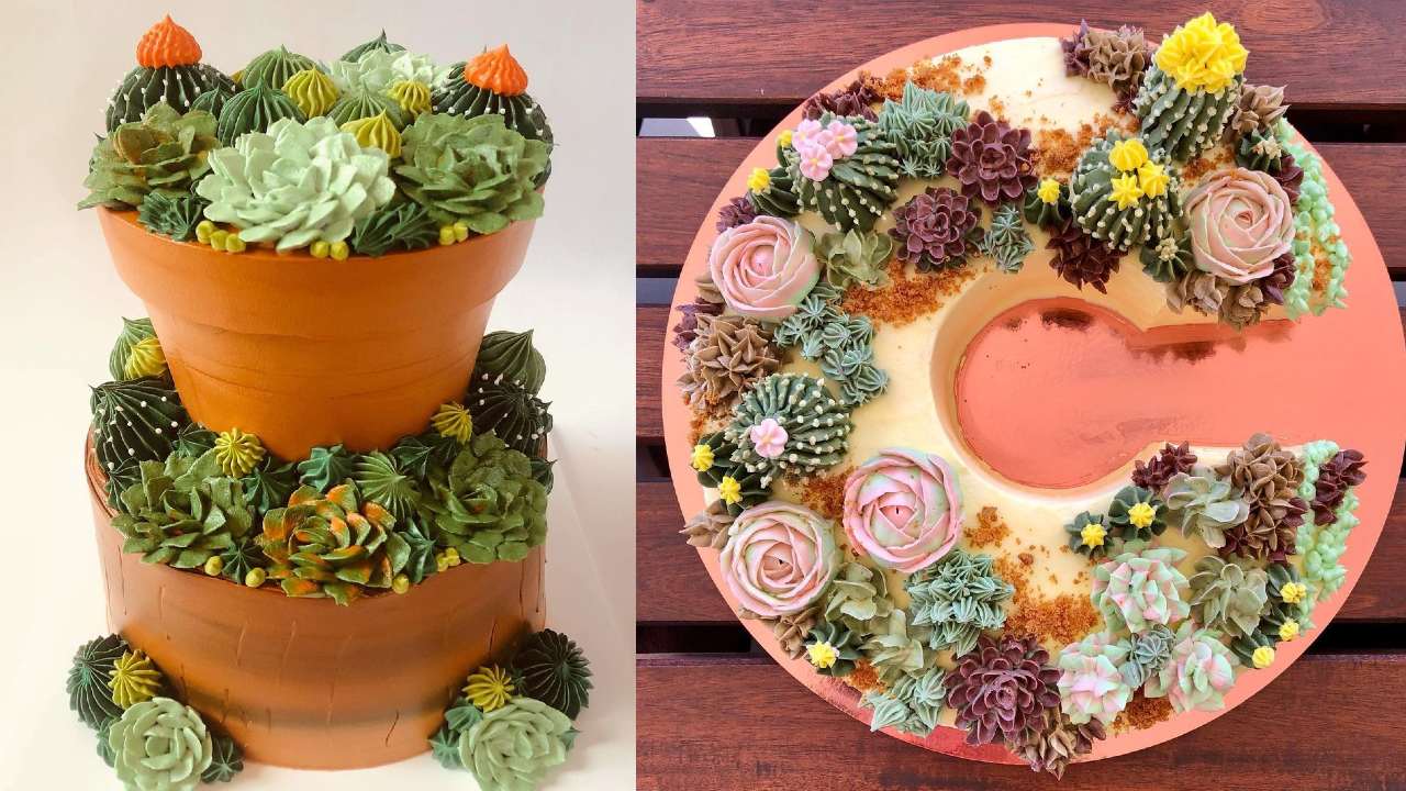 pasteles de suculentas para las señoras de las plantas