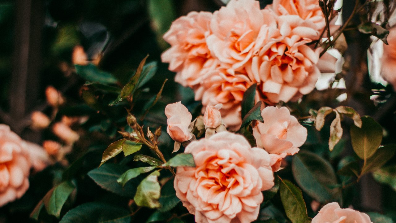 macetas para terrazas