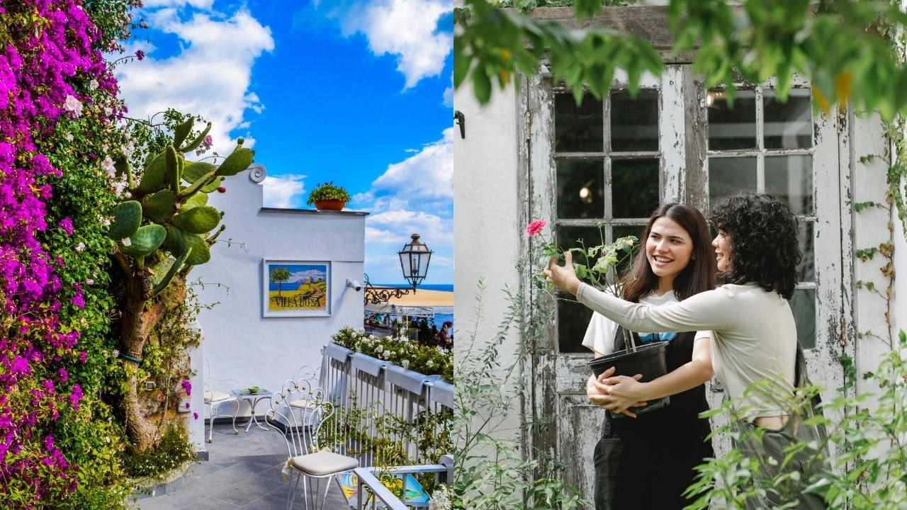 plantas de sol para azotea