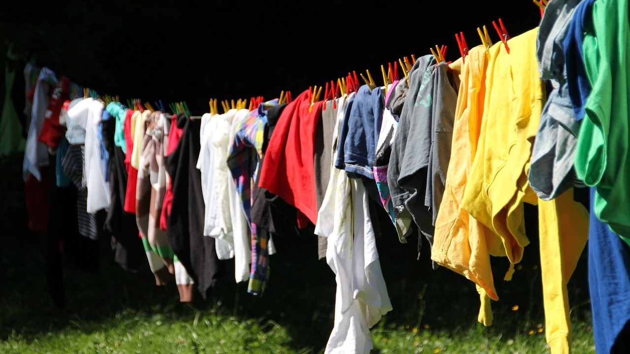 Elimina manchas de moho de la ropa