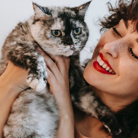 cómo saber si mi gato es feliz app