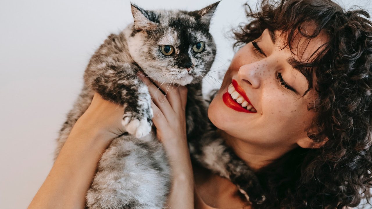 cómo saber si mi gato es feliz app