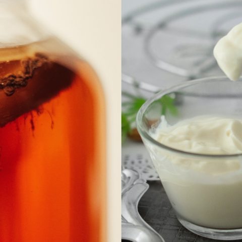 Alimentos que contienen probióticos