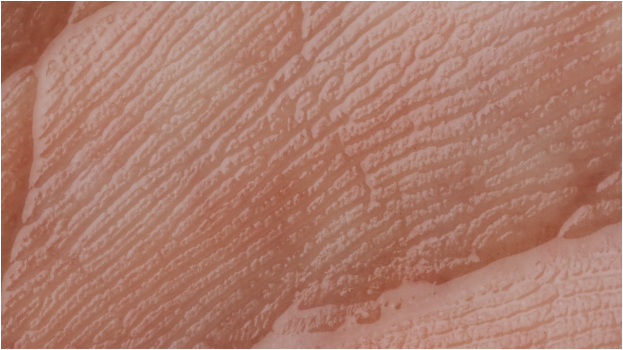 astaxantina para qué sirve