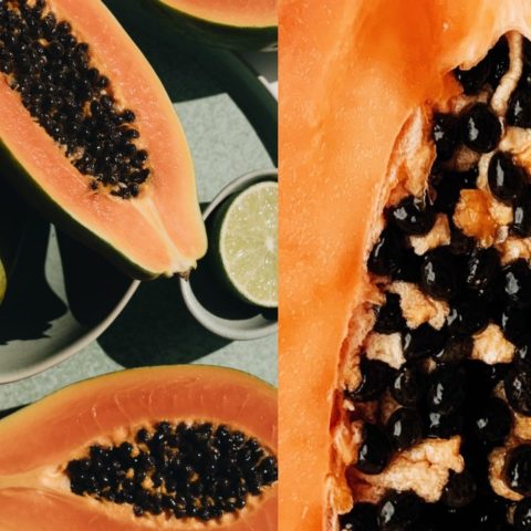 Cómo cultivar papaya en maceta, fácil y rápido