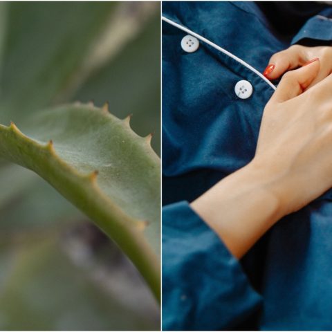 Cómo curar la gastritis de forma natural