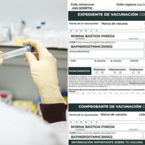 Cómo descargar el expediente de COVID-19