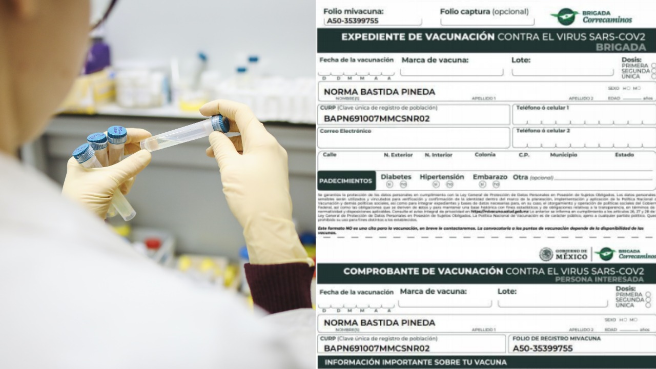 Cómo descargar el expediente de COVID-19