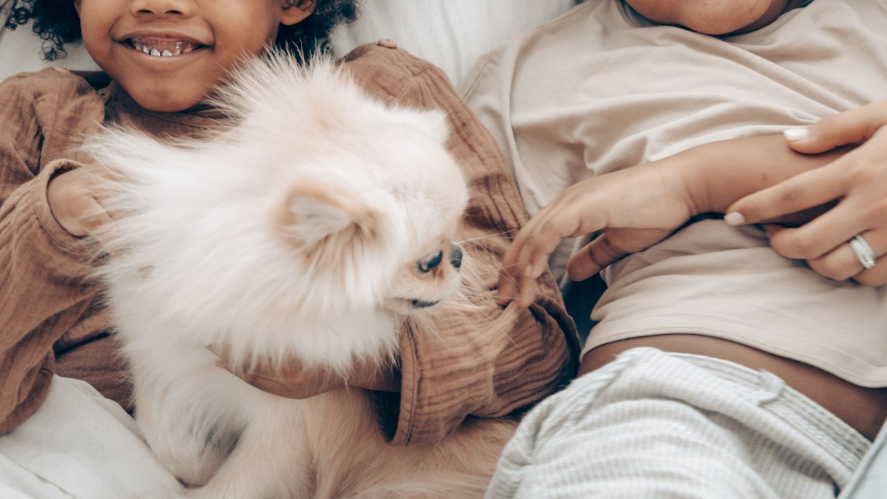 Cómo quitar el olor a popó de perro en casa