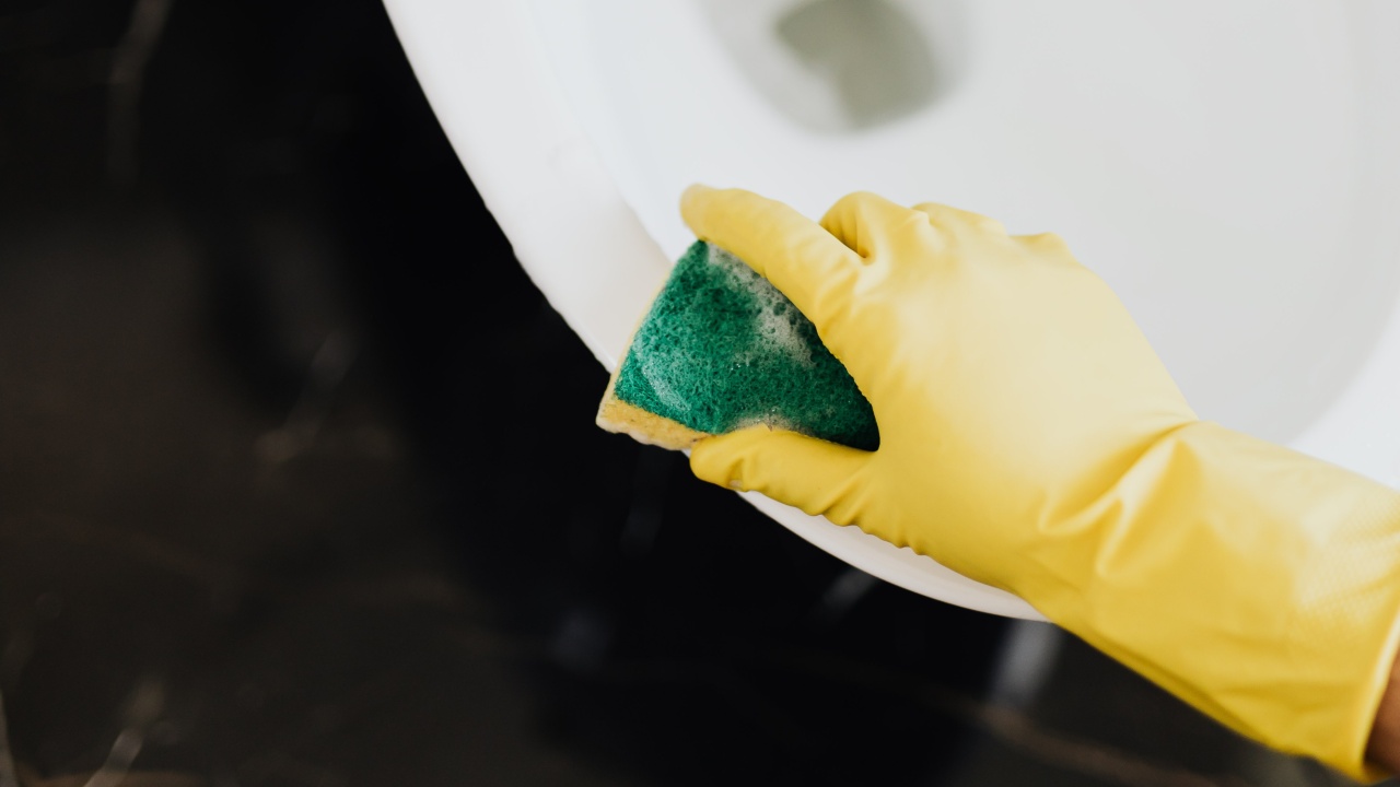 oosouji el método japonés para limpiar la casa