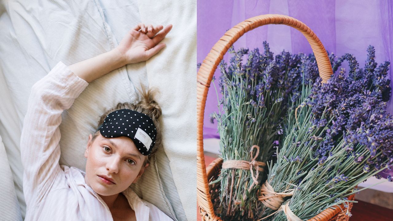 Plantas para combatir el insomnio