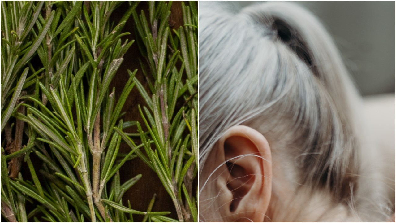 Tips para retrasar las canas con poco dinero