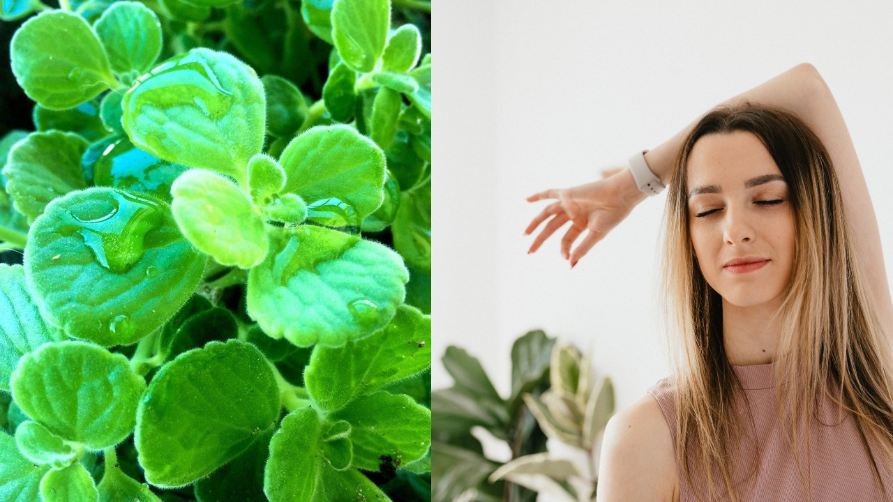 Vaporub para limpiar vías respitatorias