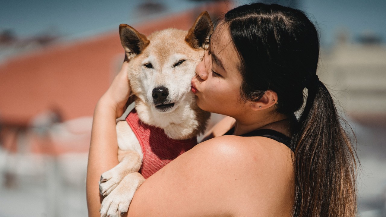 besar a tu perro en boca es malo