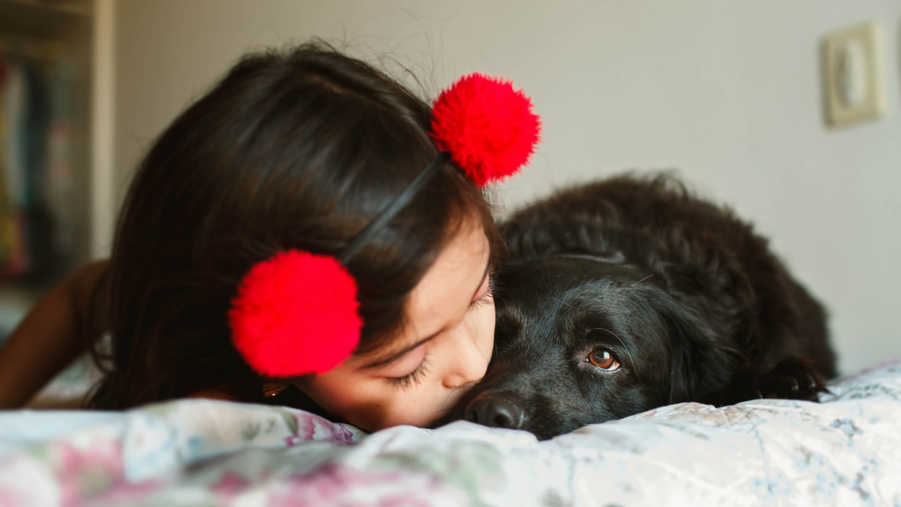 es malo besar a mi perro