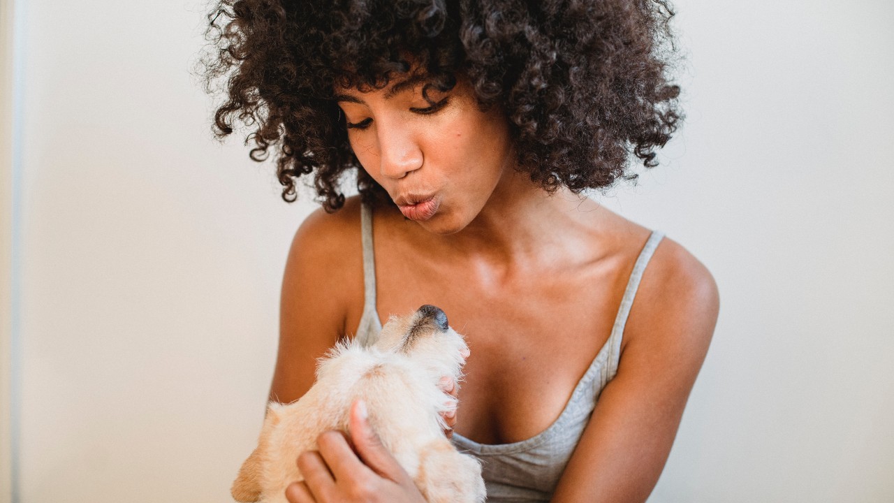 que tan mala es saliva de perros