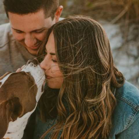 es malo besar a tu perro