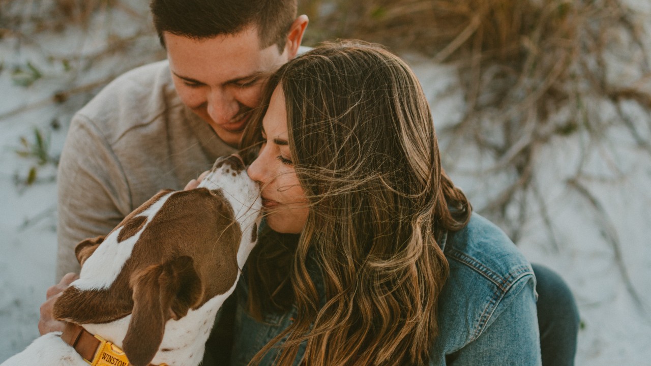 es malo besar a tu perro