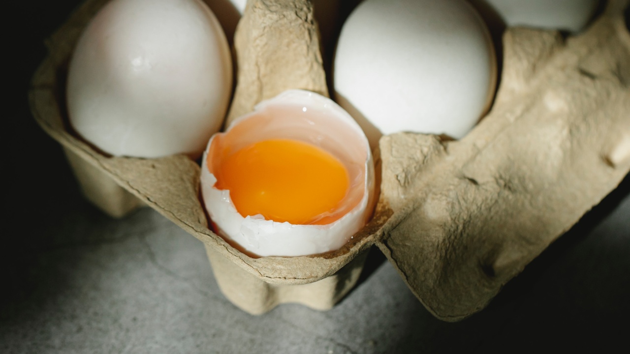 cual es mejor huevo blanco o rojo