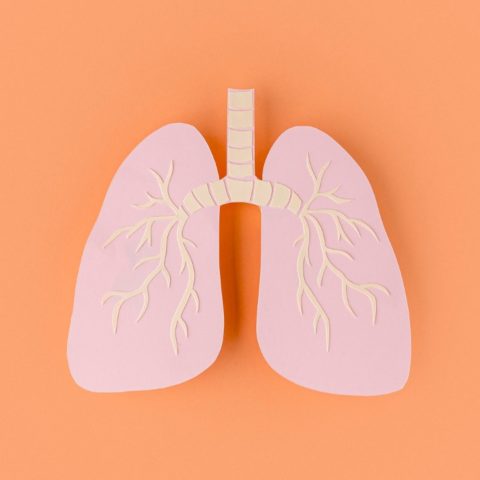 como limpiar los pulmones de forma natural