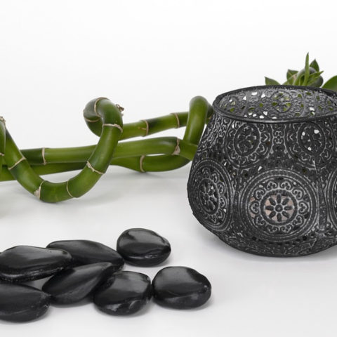 Bambú en el Feng Shui donde ponerlo como usarlo