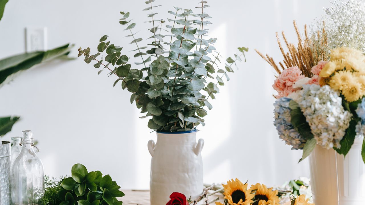 Beneficios del eucalipto