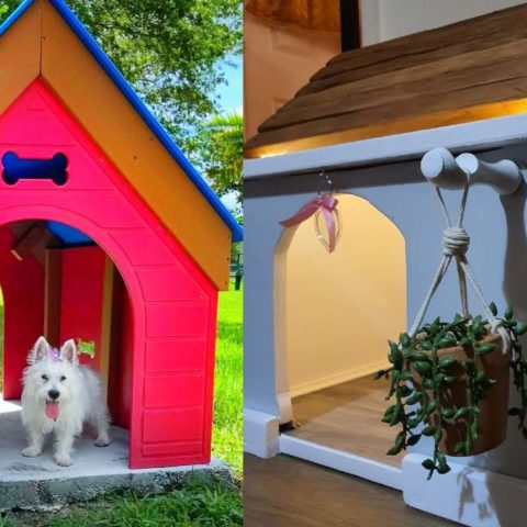 casas para perro recomendaciones de cuidado