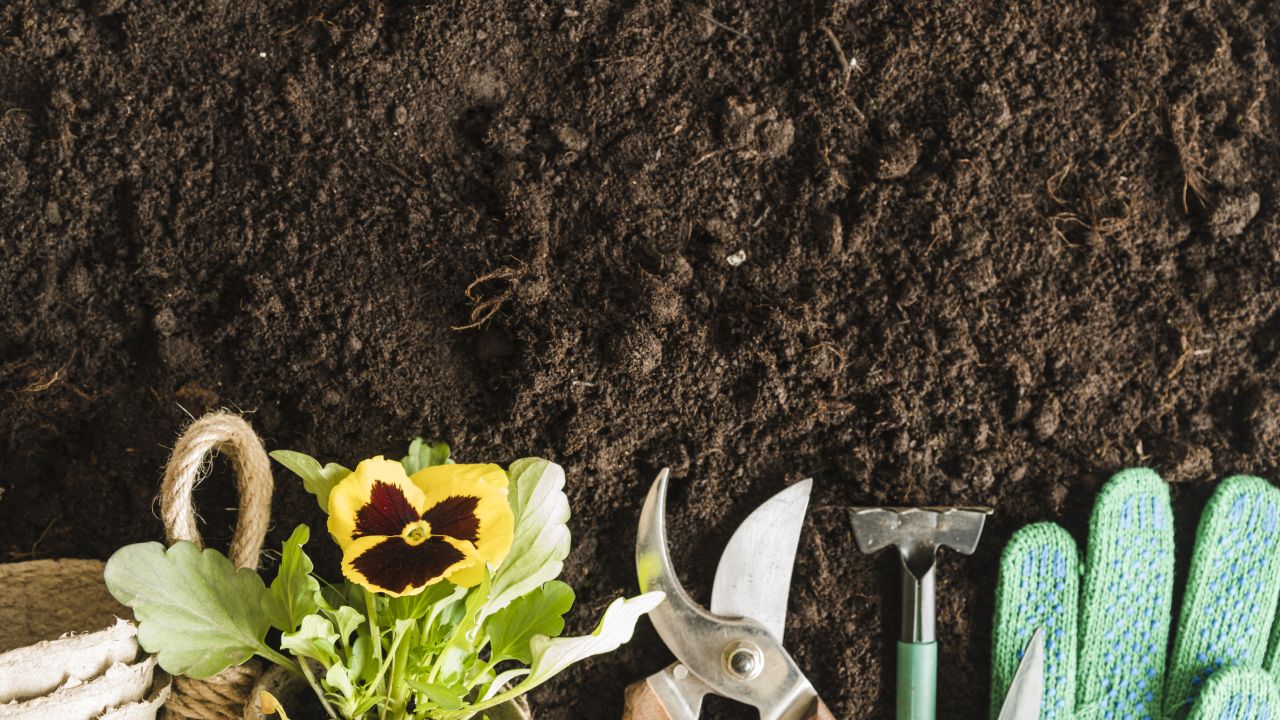Cenizas de madera como abono