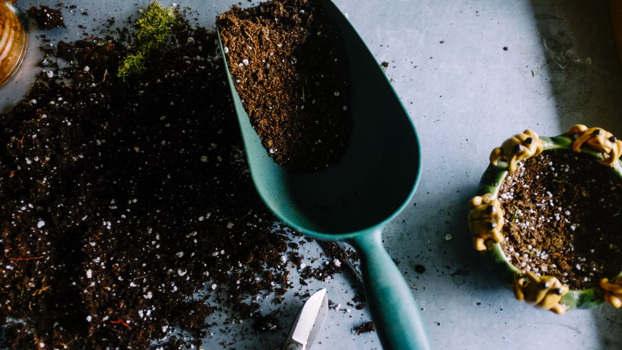 Fertiliza tu jardín con cenizas de madera