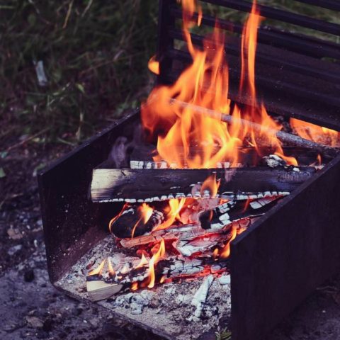 Cenizas del carbón como abono e insecticida