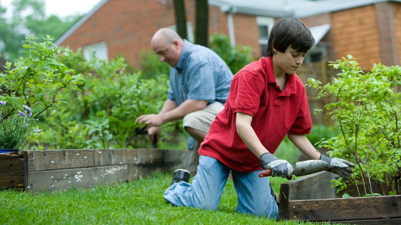 Utiliza las cenizas de madera para ahuyentar insectos