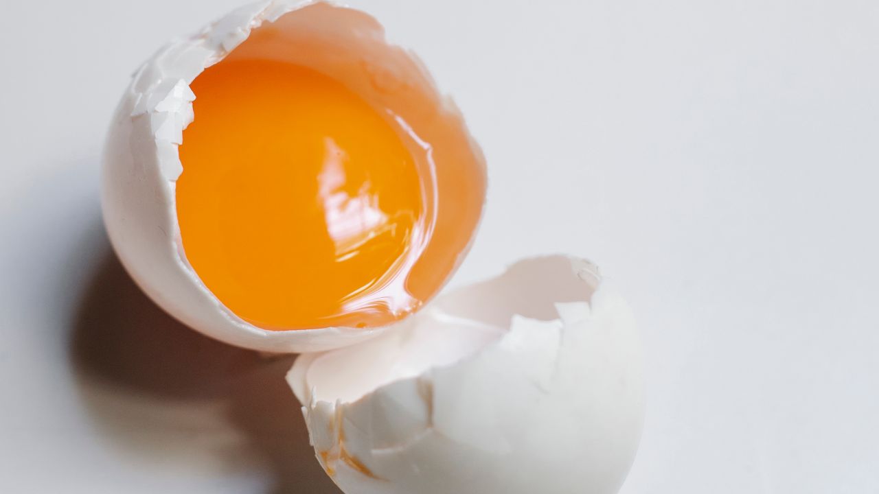 Chalaza-en-la-yema-de-los-huevos