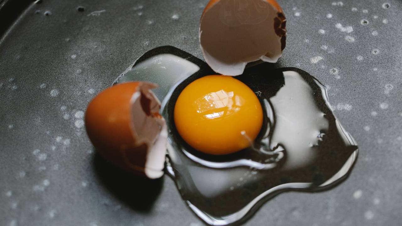 Chalaza-en-la-yema-del-huevo