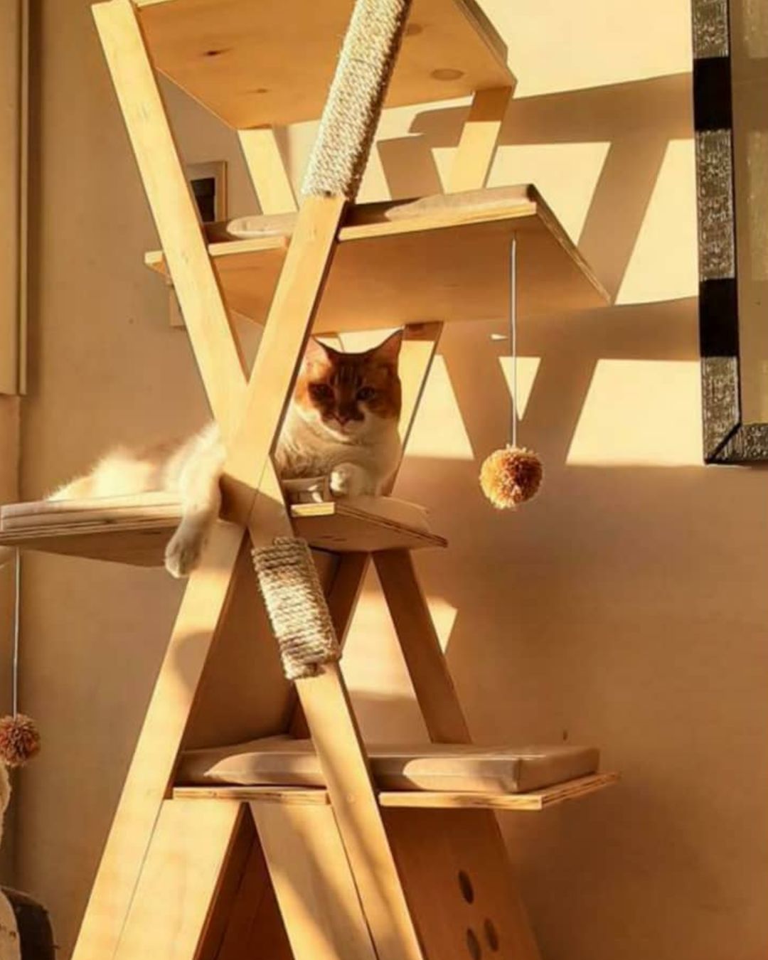 repisas para los gatos