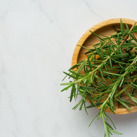 Cultivar romero en agua