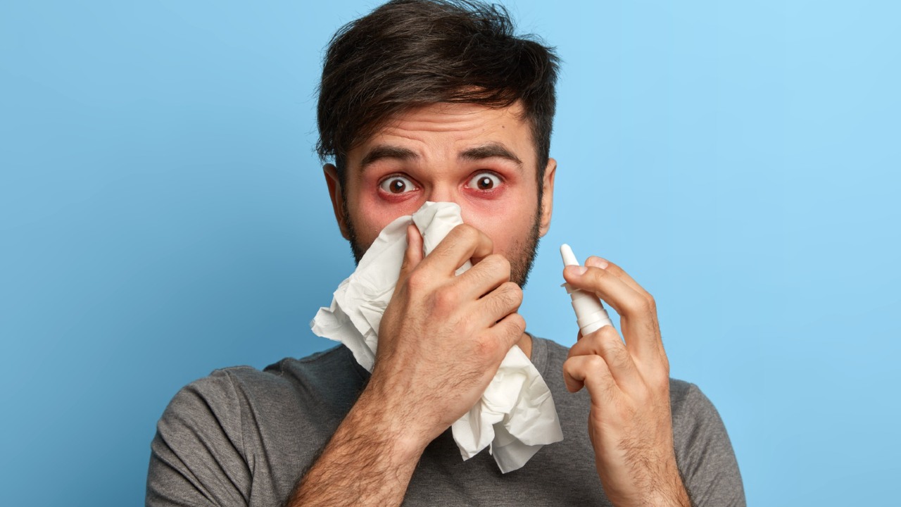 gato provoca alergias razones