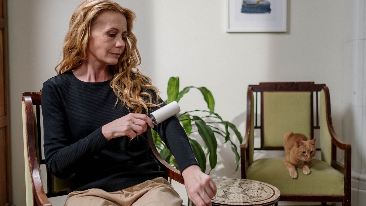 perro provoca alergia razones