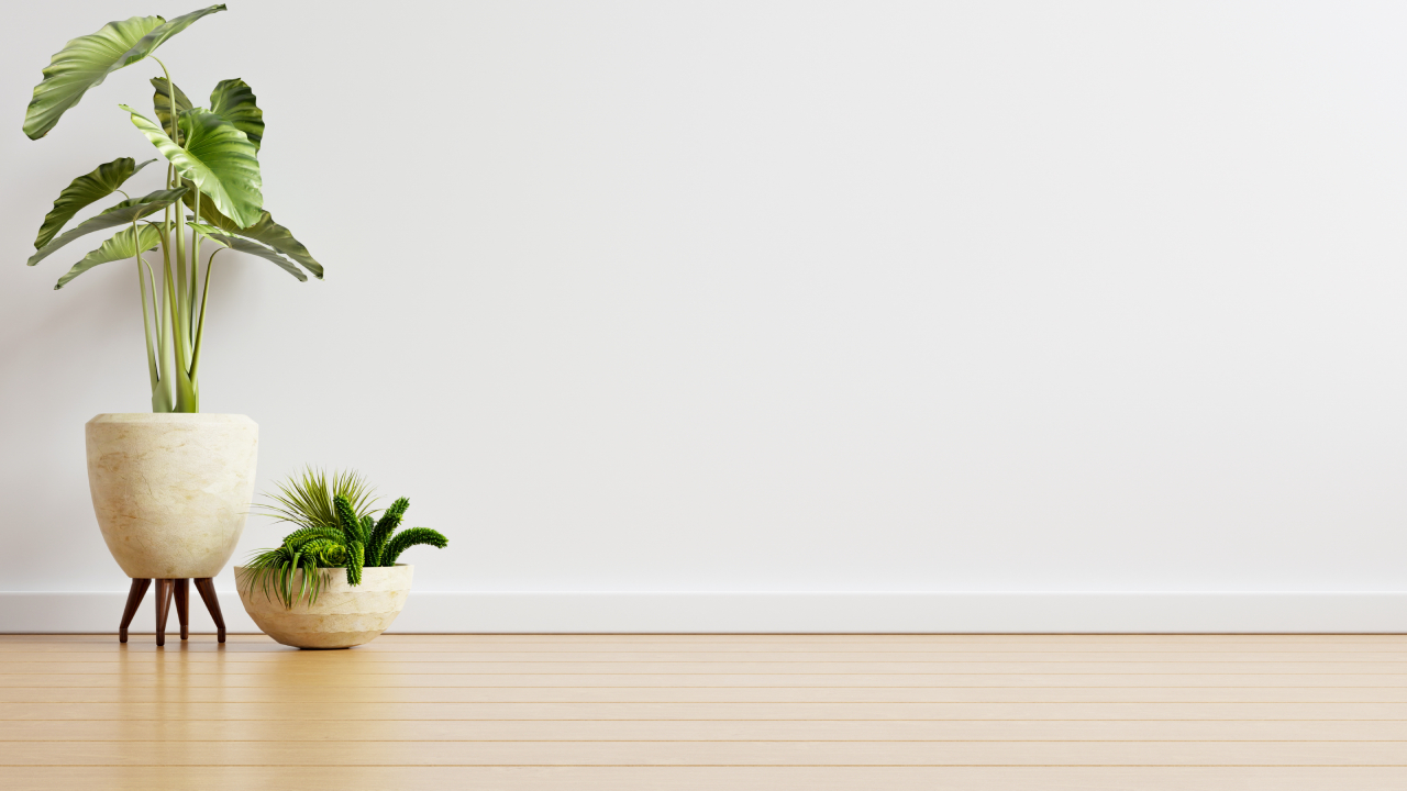 Repara tu piso laminado sin mucho esfuerzo