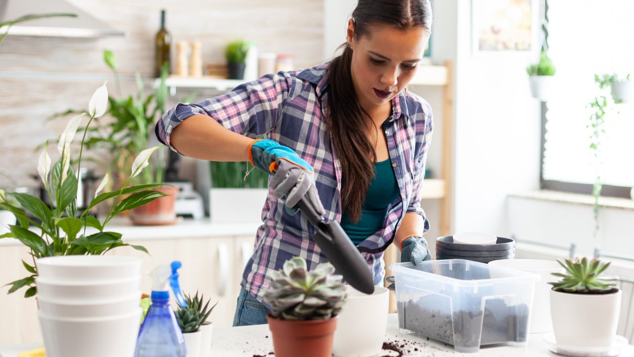 como hacer fertilizante casero para plantas