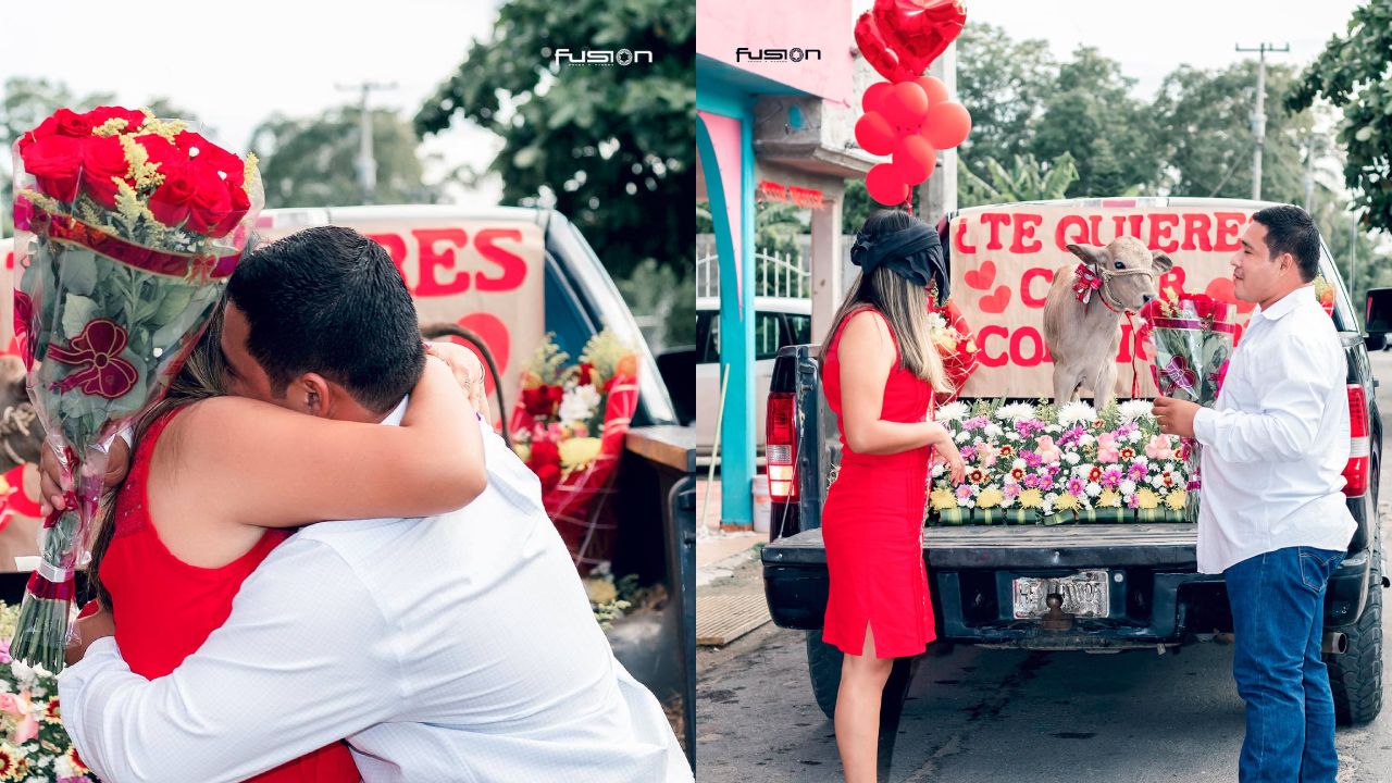 Hombre-pide-matrimonio-con-un-becerro (1)