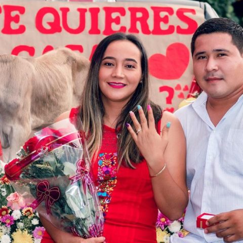 Hombre-pide-matrimonio-con-un-becerro