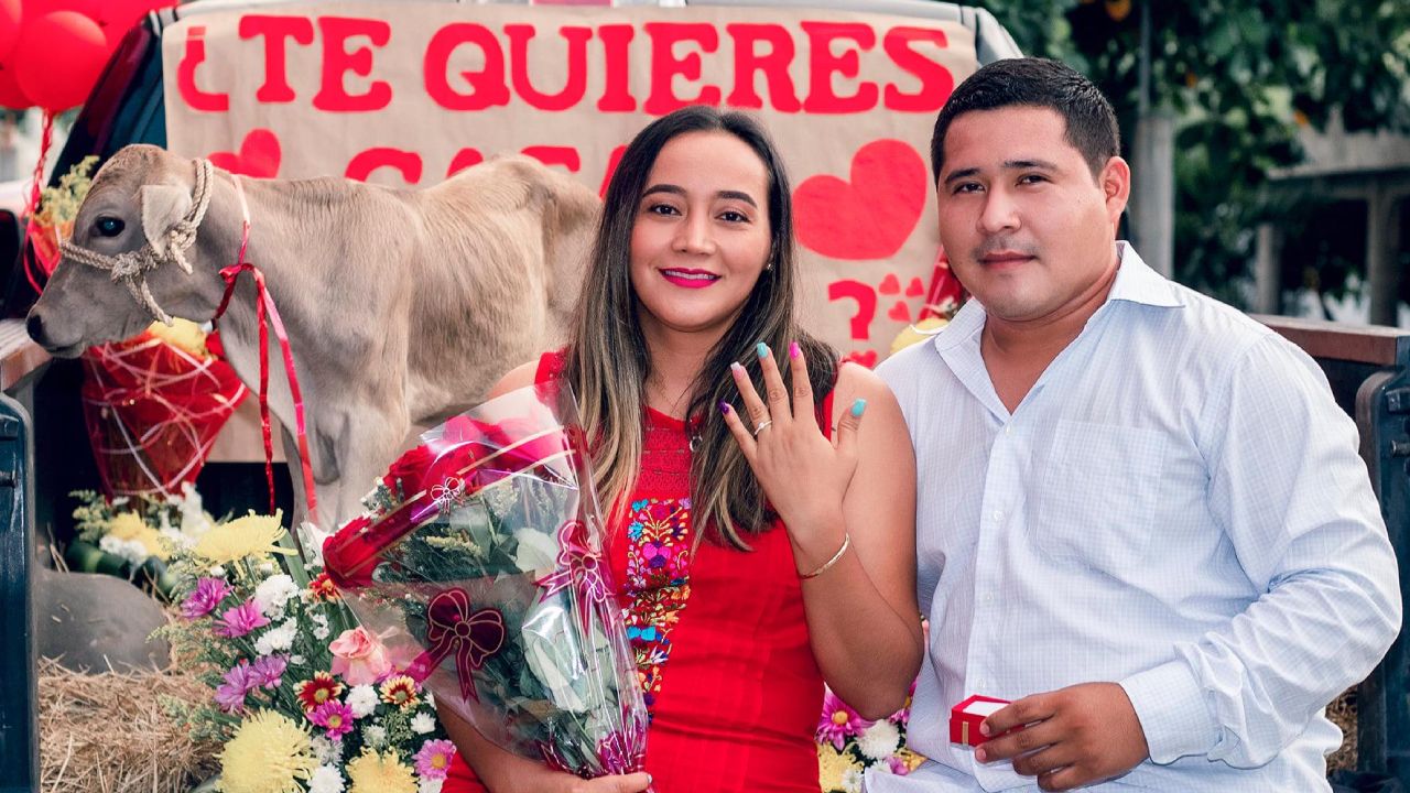 Hombre-pide-matrimonio-con-un-becerro