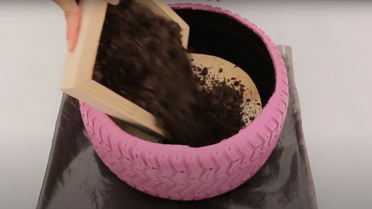 plantas de sol para maceta hecha de llanta