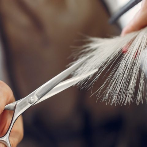 mejores dias del mes para cortarse el cabello recomendación