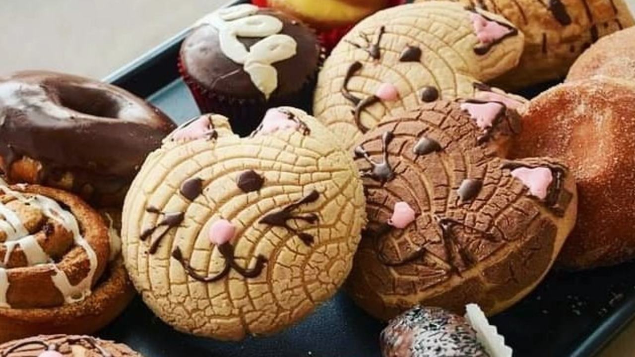 panes de temporada y michiconchas